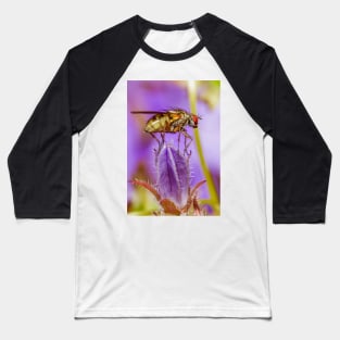 Fly Baseball T-Shirt